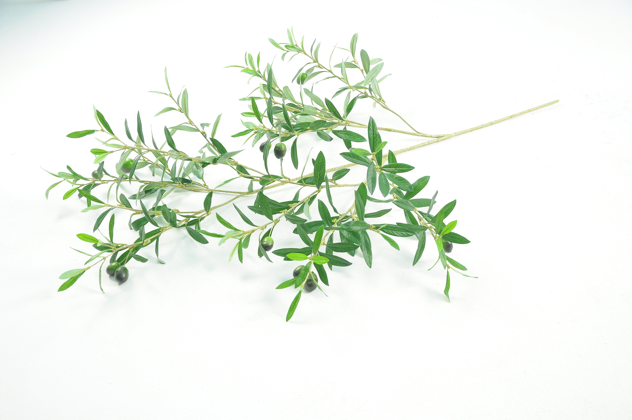 OLIVE SPRAY UV